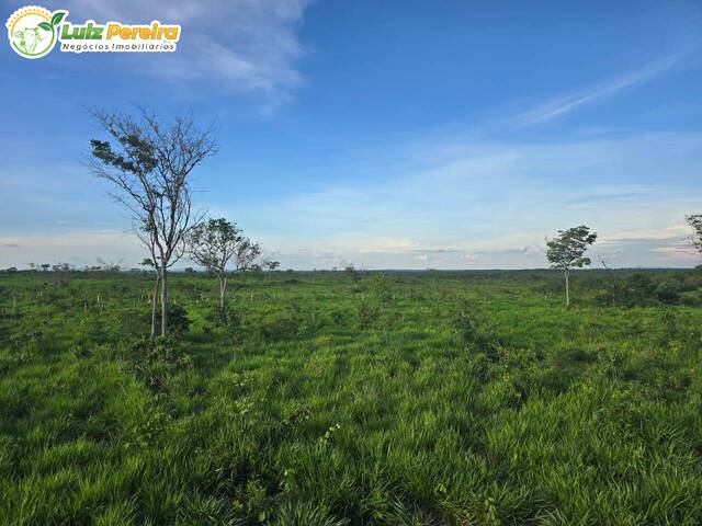 Fazenda para Venda em Paranã - 5