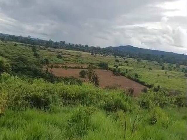 #3360 - Chácara para Venda em Portel - PA - 1