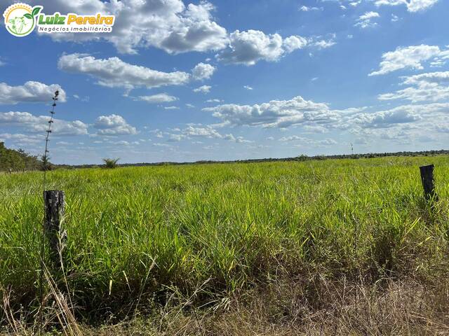 #3361 - Fazenda para Venda em Curralinho - PA - 1