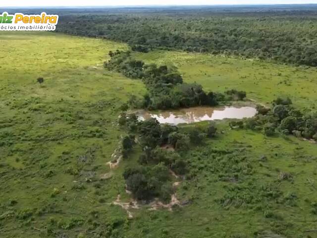#3362 - Fazenda para Venda em Portel - PA - 1