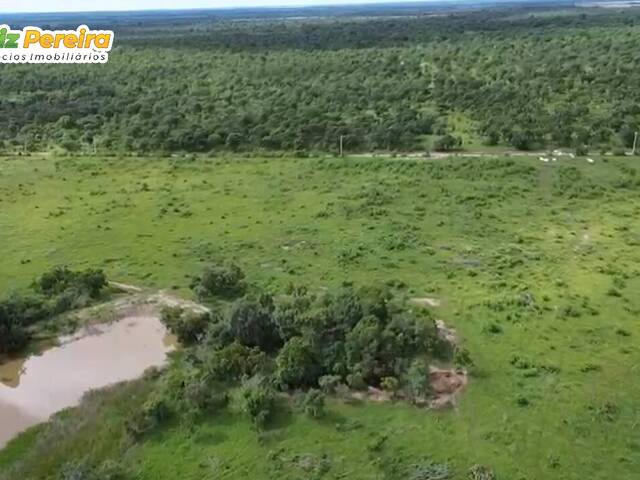 #3362 - Fazenda para Venda em Portel - PA - 2
