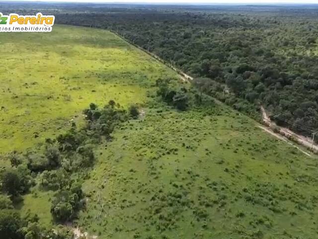 #3362 - Fazenda para Venda em Portel - PA - 3