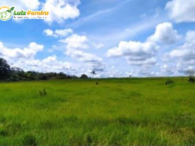 Fazenda para Venda em Chupinguaia - 3