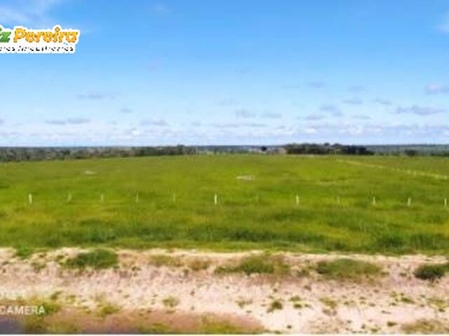 Fazenda para Venda em Chupinguaia - 2