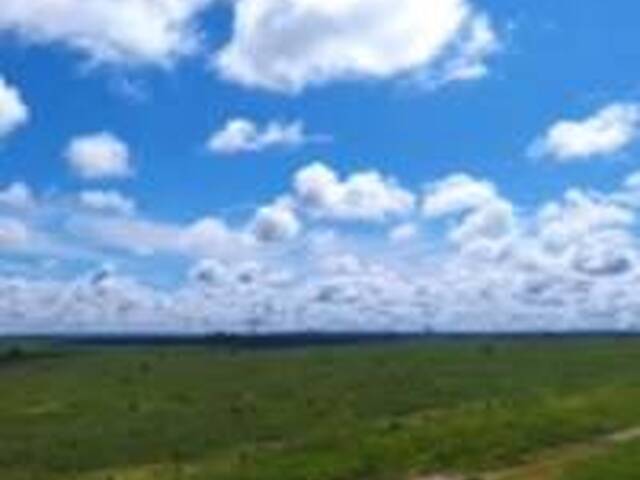 Fazenda para Venda em Chupinguaia - 5