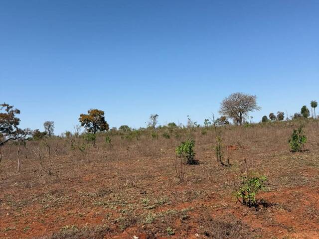 #3365 - Fazenda para Venda em Paranaíba - MS - 2