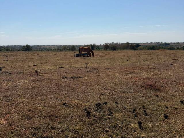 Fazenda para Venda em Paranaíba - 5