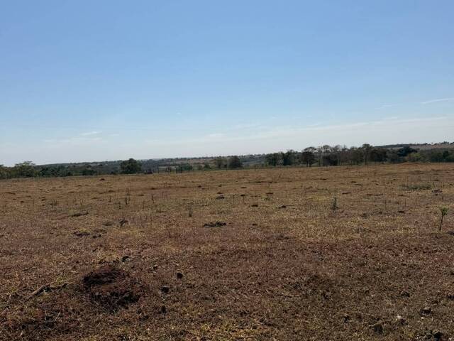 #3365 - Fazenda para Venda em Paranaíba - MS - 1