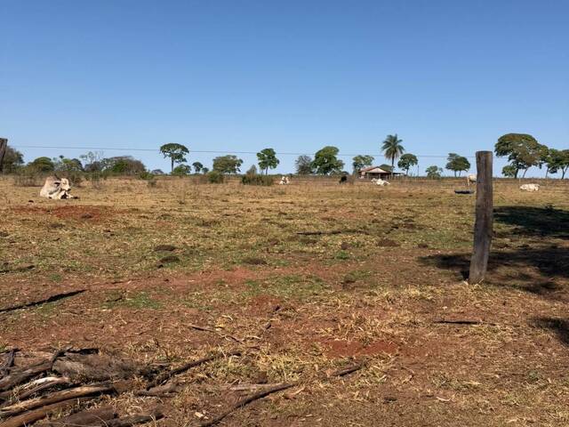 #3365 - Fazenda para Venda em Paranaíba - MS - 1