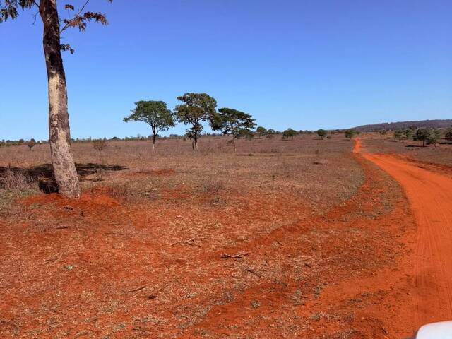 #3365 - Fazenda para Venda em Paranaíba - MS - 1