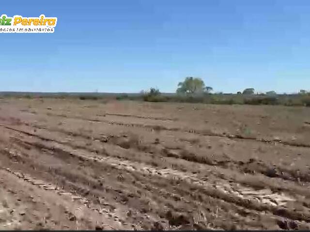 #3366 - Fazenda para Venda em Riachão - MA - 2