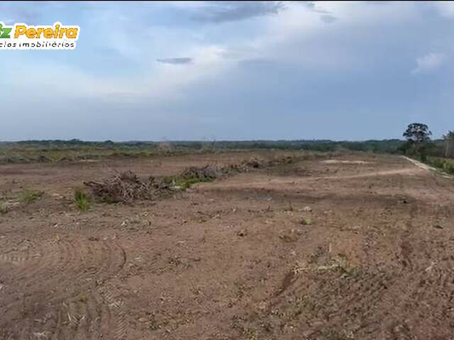 #3366 - Fazenda para Venda em Riachão - MA - 3