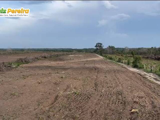 #3366 - Fazenda para Venda em Riachão - MA - 1