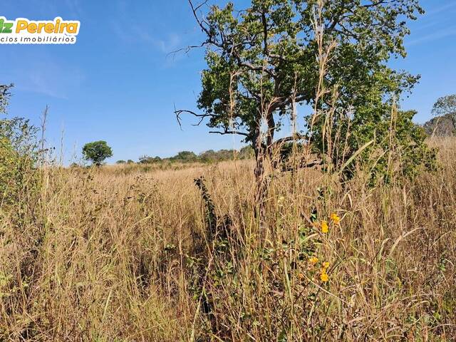 #3367 - Fazenda para Venda em Paranã - TO - 2