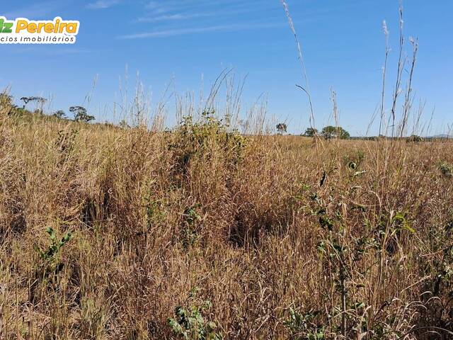 #3367 - Fazenda para Venda em Paranã - TO - 3