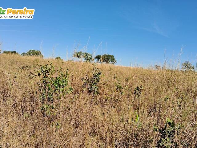 #3367 - Fazenda para Venda em Paranã - TO - 1