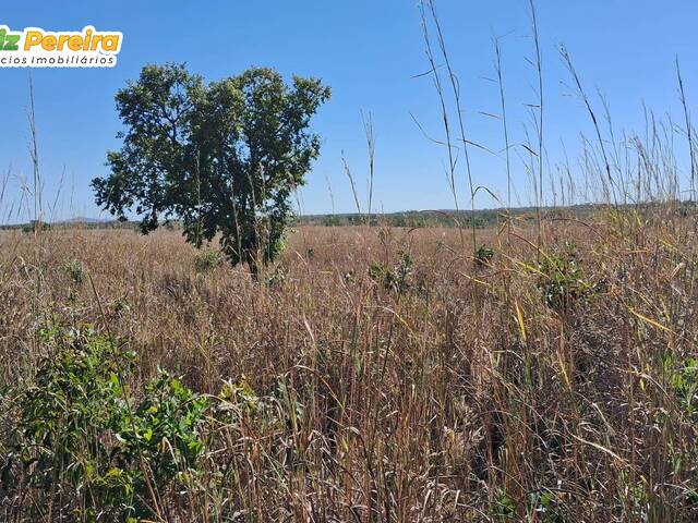 Fazenda para Venda em Paranã - 4