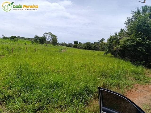Fazenda para Venda em Dueré - 4
