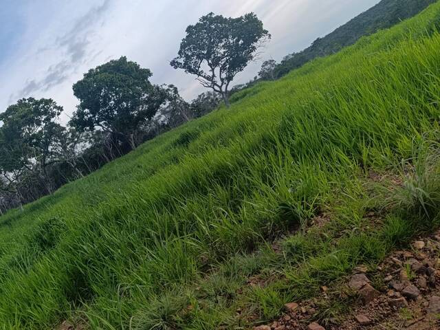 #3369 - Fazenda para Venda em Dueré - TO - 2