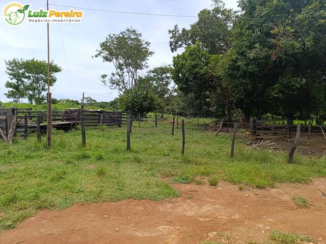 Fazenda para Venda em Dueré - 5
