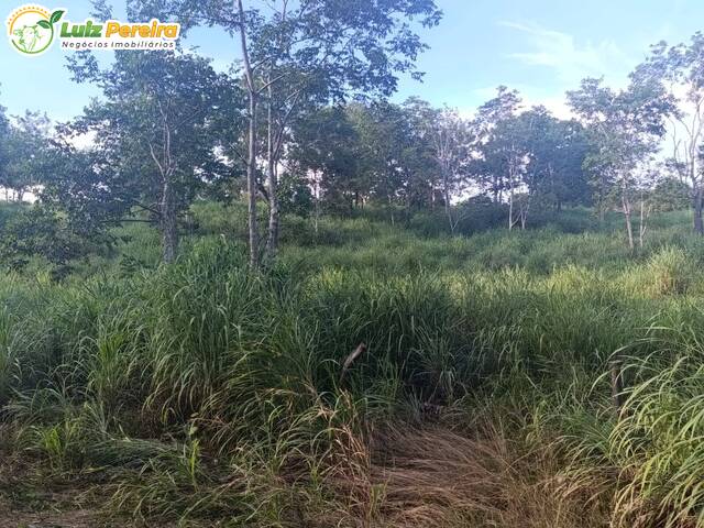 #3369 - Fazenda para Venda em Dueré - TO - 3