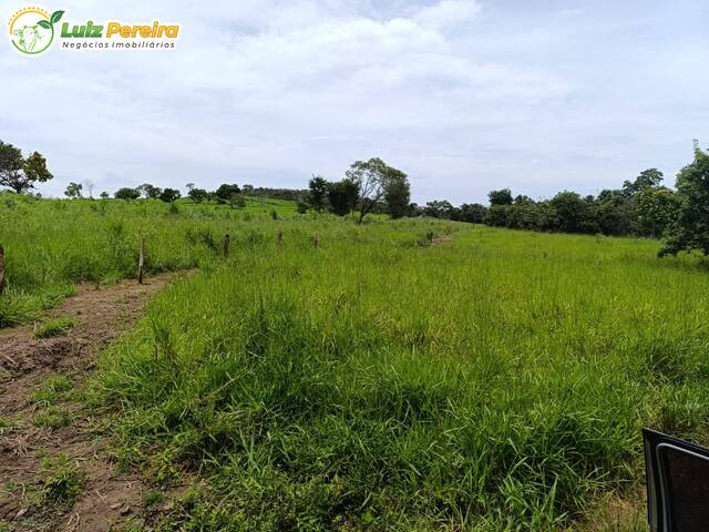 #3369 - Fazenda para Venda em Dueré - TO - 1