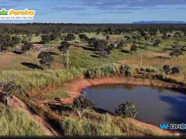 #3370 - Fazenda para Venda em Paranã - TO - 2
