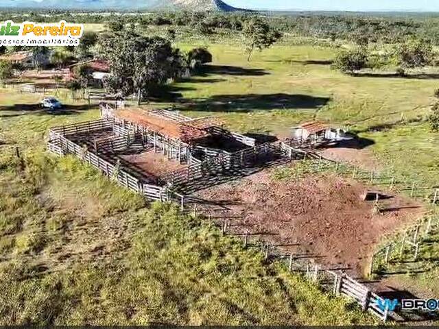 #3370 - Fazenda para Venda em Portel - PA - 3
