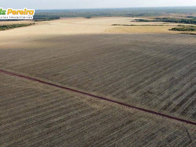 Fazenda para Venda em Divinópolis do Tocantins - 5