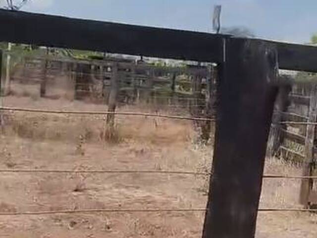 Chácara para Venda em Araguatins - 5