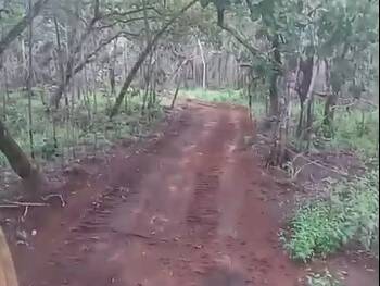 #3368 - Fazenda para Venda em Dueré - TO - 1