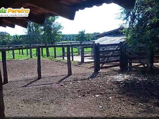 #3373 - Fazenda para Venda em Portel - PA - 3