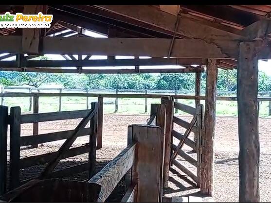 Fazenda para Venda em Gurupi - 4