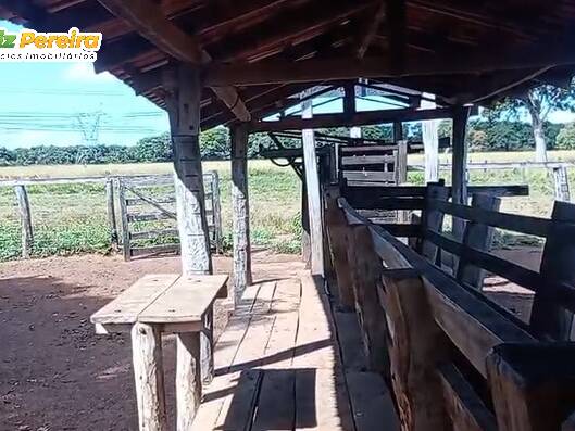 Fazenda para Venda em Gurupi - 5