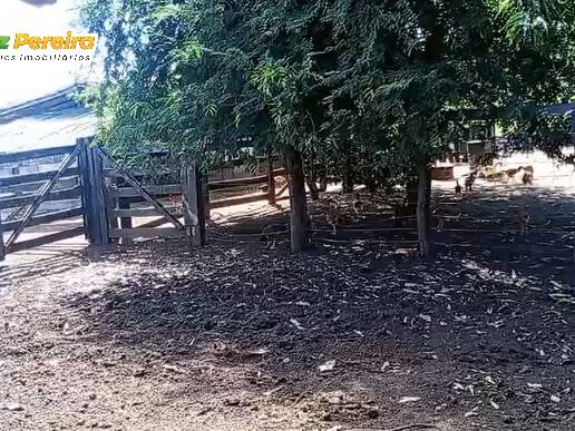 #3373 - Fazenda para Venda em Portel - PA - 2