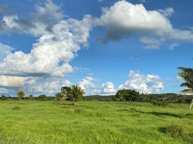 #3374 - Fazenda para Venda em Pimenta Bueno - RO - 2