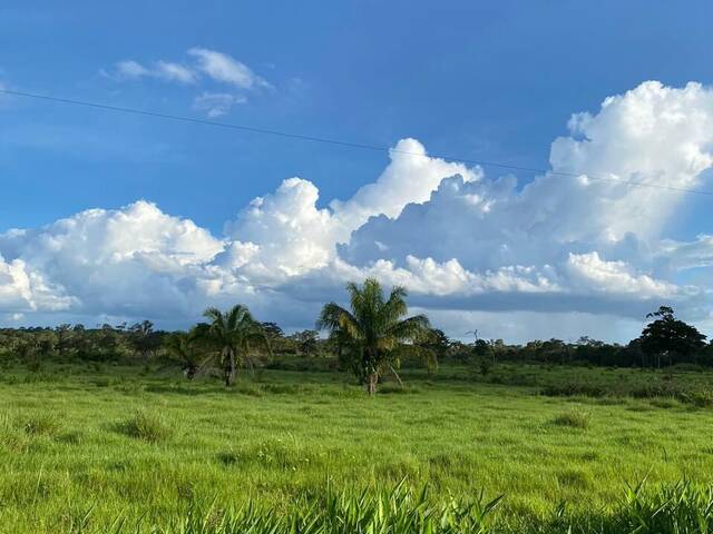 #3374 - Fazenda para Venda em Pimenta Bueno - RO - 1