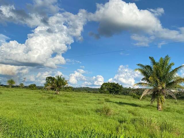 Fazenda para Venda em Pimenta Bueno - 4