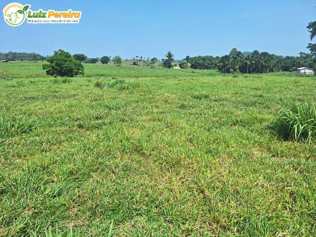 Fazenda para Venda em Jaru - 4