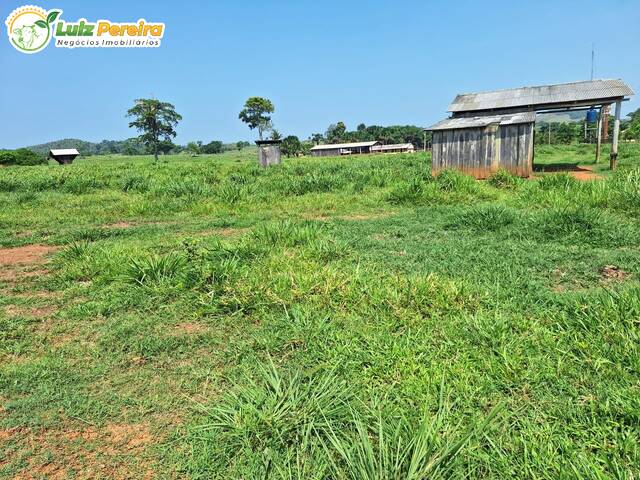 Fazenda para Venda em Jaru - 5