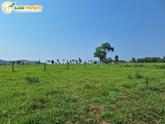 #3375 - Fazenda para Venda em Jaru - RO - 2