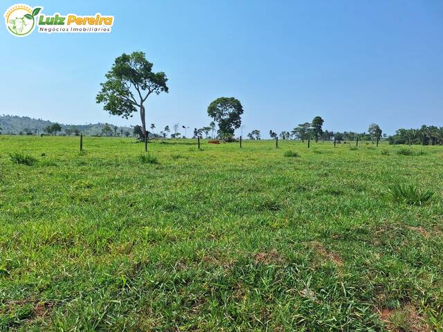 #3375 - Fazenda para Venda em Jaru - RO - 3