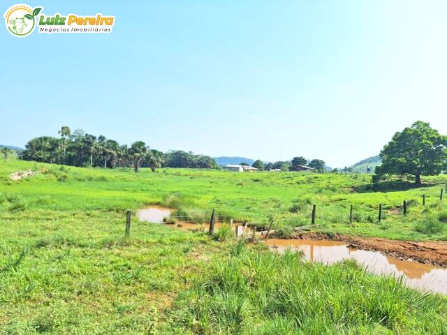 #3375 - Fazenda para Venda em Jaru - RO - 1