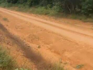 Fazenda para Venda em Ariquemes - 5