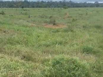 #3376 - Fazenda para Venda em Ariquemes - RO - 2