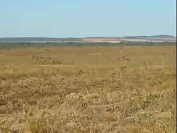 #3378 - Fazenda para Venda em Gaúcha do Norte - MT - 3