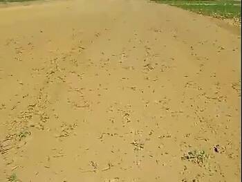 Fazenda para Venda em Gaúcha do Norte - 4