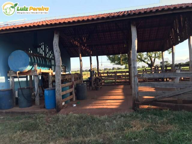 Fazenda para Venda em Nioaque - 5