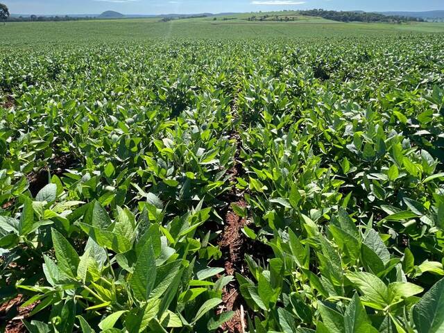 #3379 - Fazenda para Venda em Nioaque - MS - 1