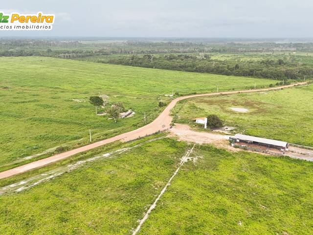 #3381 - Fazenda para Venda em Tailândia - PA - 1